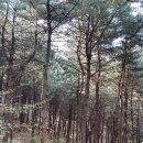 불로천약수터 이미지