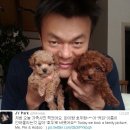 호두랑파이랑 이미지