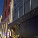 달콤한 민들레의 속 | 청담 칵테일바 추천 챕터쓰리 후기✨ 책 속에서 즐기는 특별한 한잔이에요~!