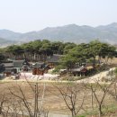 금빛태양광발전소 이미지