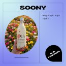 보해마트 | 순희막걸리 보해양조 조선 RTD 시음후기 먹는법 도수 칼로리