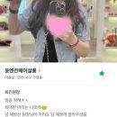 윤엔진헤어