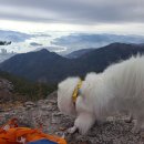 수정카마스타 이미지