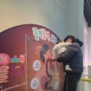 유아 체험과학 (A) | 충남교육청 과학교육원 유아과학관 체험 후기｜무료 입장 가능한 돌아기 과학체험