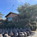 고메갈비 이미지