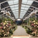 빌라드화이트 이미지