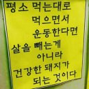 원데이피티