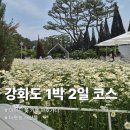 데이지영어 | [강화도] 가볼만한 곳 데이지꽃 카페 마호가니 / 대명항 어판장, 1박2일 일정 코스 추천!