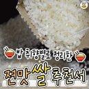 밥 취향별 쌀 추천 이미지