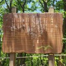 형제봉_숲길(등산)1코스 | 광교산 등산코스 추천, 조광조묘~형제봉까지 초록빛 숲길 힐링 산행