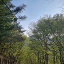 옥천사우나 이미지