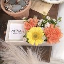 레플레르 이미지