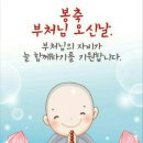 매화농장 이미지