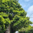 서귀포교회 이미지