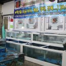 일번지회&대게