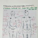 꿀사랑 양봉 이미지