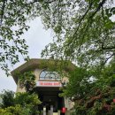 올시즌게러지 | 진해문화센터 맛집 ‘더 게러지’｜힙한 대형카페 브런치 맛집