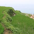 남면로-1 이미지