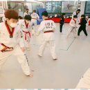 아리랑태권도 이미지