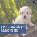 멍캐슬 이미지