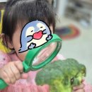 놀작마이아트도담도담미술교습소