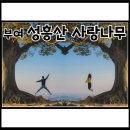 성흥산 화장실 이미지