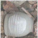 토끼나라 이미지