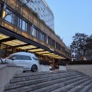 정찬희 | [이태원 맛집] 차이나룸 몬드리안호텔점 (강추) - 정찬희 셰프의 중식 코스 요리 저녁 메뉴 추천