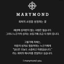 조상큼🍋 이미지