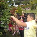 남면어린이집 이미지