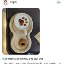 [포항 카페] 신흥동 휘겔리(HYGGELIG) – 애견 동반 가능 브런치 카페