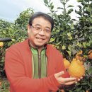 도덕농장 이미지