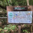 한라산둘레길 동백길 이미지