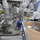 2025년산 토종앉은뱅이 통밀가루/ 검은통밀가루 이미지