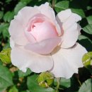 도당공원 이미지