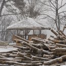 망양해돋이 이미지