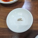 김치당구클럽 의정부점 | 의정부 용현동 맛집 부모님 몸보신 '장수한방삼계탕'