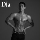 시드니짐 이미지