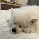 호텔나운 | 군산 나운 호텔 다녀온 후기..
