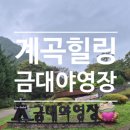 에코야영장 | 금대에코힐링캠핑장 2박 3일 가을 캠핑 솔직후기