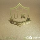 케이와이네이션 이미지