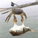 금수카써비스 | 으나와 함께하는 부싼 1박2일 여행 후기