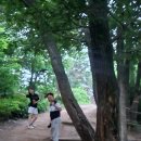 (주) 청야 이미지