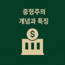화신상회 | 🏆 [주식] 중형주의 개념과 특징