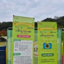 녹색공원 | 여기저기 서울형 키즈카페 야외 키즈카페 금천구 녹색광장 이용후기