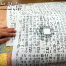 금사이불
