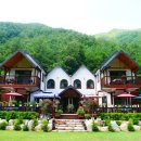 산새소리물새소리 이미지