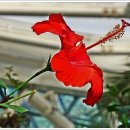 서울화원 이미지