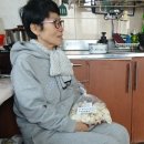 김귀분
