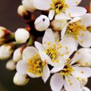 힐링헤어 이미지